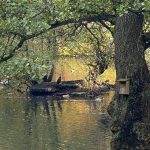 Goetheborg4-rotated-2.jpg