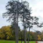 Goetheborg9-rotated-2.jpg