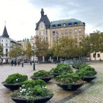 malmoe25-rotated-2.jpg