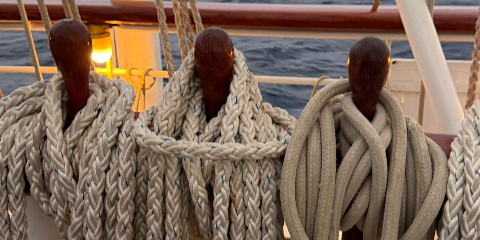 35d80899-0d35-4c75-8611-591873639403