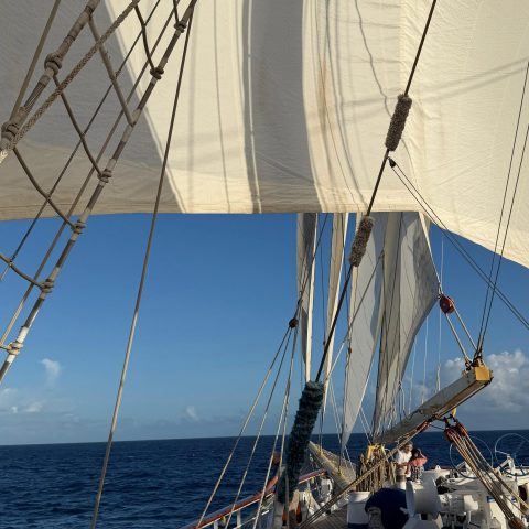 7bec7e88-b674-4f14-9f5f-896ae6ff5892