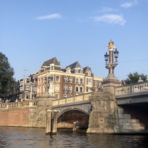 IMG_9635.jpeg