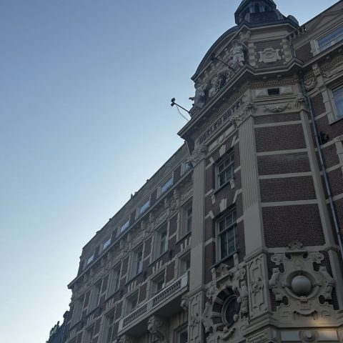 IMG_9637.jpeg