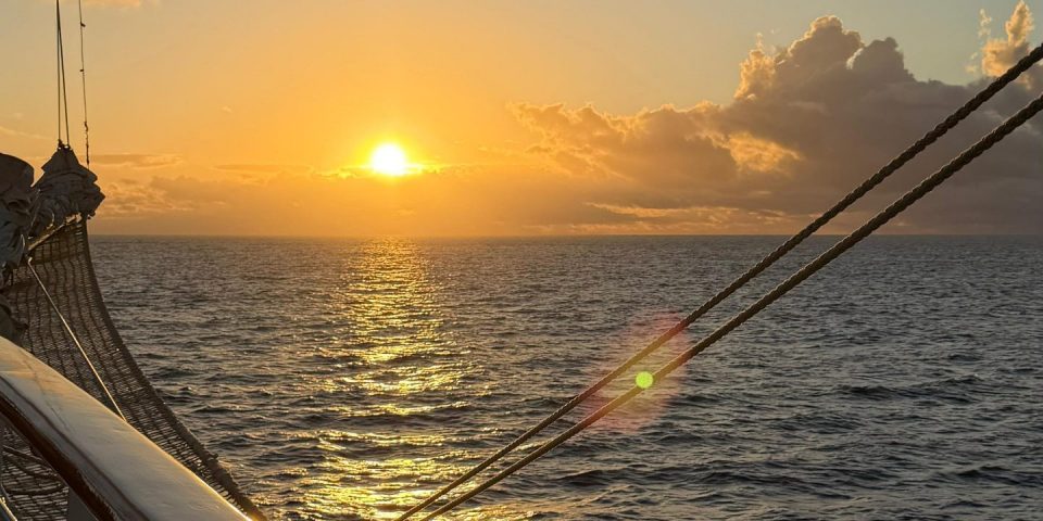 aee8e102-42a3-4851-9403-d35d522b27a7