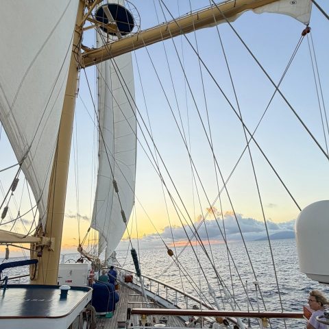 f7aeb060-eeb5-46bb-88cd-7e0f2811539e